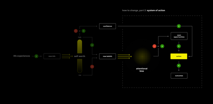 To Act, First See: System of Action